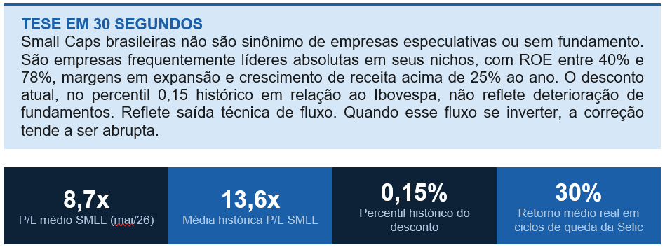 Small Caps: O ouro escondido da bolsa brasileira
